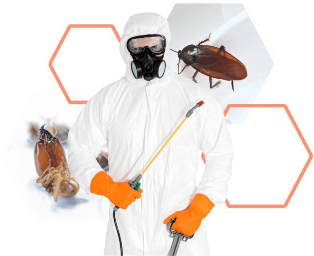 Commercial Pest Control